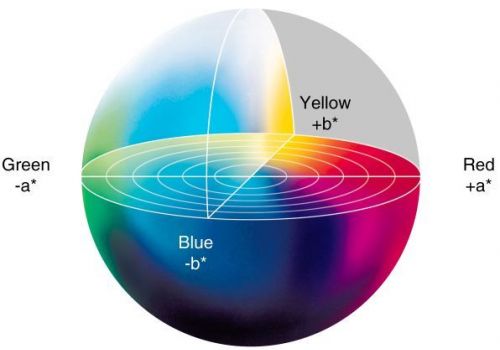 COLOR DISTRIBUTION OF CALCIUM CARBONATE POWDER