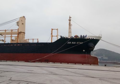 DELIVERY CARGO TO NGHI SON PORT FOR BULK CARRIER 
