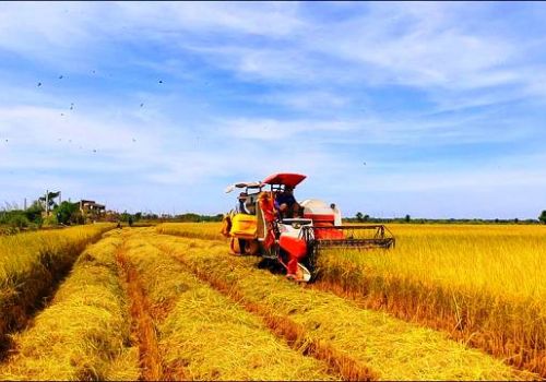 Calcium Carbonate uses for Agriculture